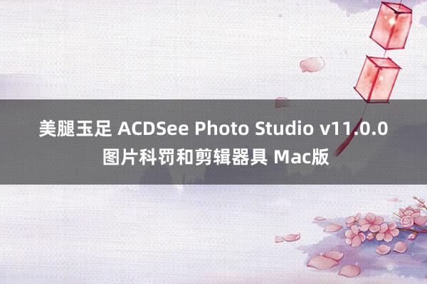 美腿玉足 ACDSee Photo Studio v11.0.0 图片科罚和剪辑器具 Mac版