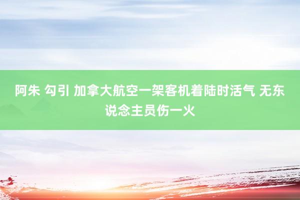 阿朱 勾引 加拿大航空一架客机着陆时活气 无东说念主员伤一火