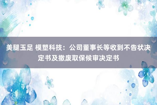 美腿玉足 模塑科技：公司董事长等收到不告状决定书及撤废取保候审决定书