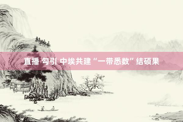 直播 勾引 中埃共建“一带悉数”结硕果