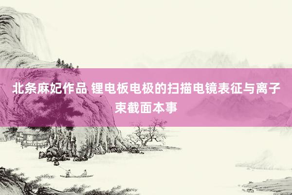 北条麻妃作品 锂电板电极的扫描电镜表征与离子束截面本事