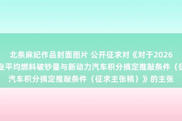 北条麻妃作品封面图片 公开征求对《对于2026—2027年度乘用车企业平均燃料破钞量与新动力汽车积分搞定推敲条件（征求主张稿）》的主张