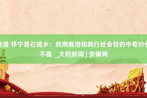 动漫 怀宁县石镜乡：效用栽培和践行社会目的中枢价值不雅  _大皖新闻 | 安徽网