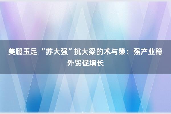 美腿玉足 “苏大强”挑大梁的术与策：强产业稳外贸促增长