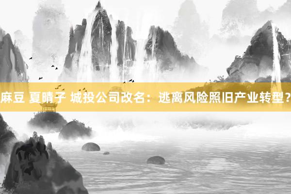 麻豆 夏晴子 城投公司改名：逃离风险照旧产业转型？