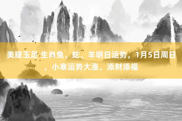 美腿玉足 生肖兔、蛇、羊明日运势，1月5日周日，小寒运势大涨，添财添福