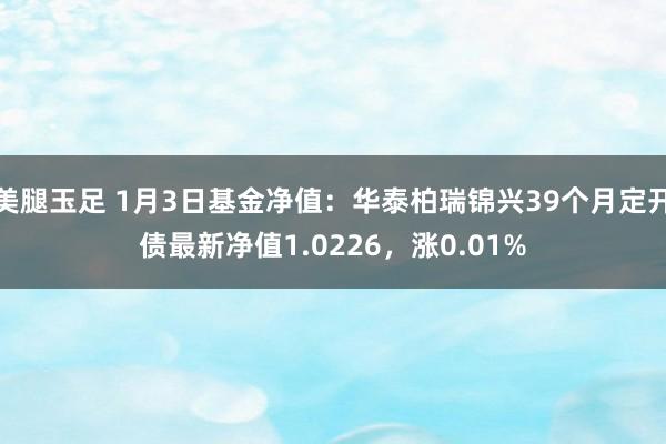 美腿玉足 1月3日基金净值：华泰柏瑞锦兴39个月定开债最新净值1.0226，涨0.01%