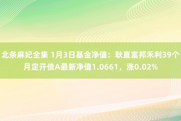 北条麻妃全集 1月3日基金净值：耿直富邦禾利39个月定开债A最新净值1.0661，涨0.02%