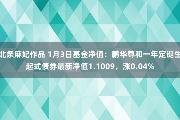 北条麻妃作品 1月3日基金净值：鹏华尊和一年定诞生起式债券最新净值1.1009，涨0.04%