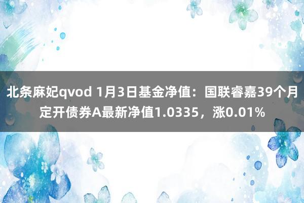 北条麻妃qvod 1月3日基金净值：国联睿嘉39个月定开债券A最新净值1.0335，涨0.01%