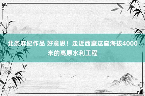 北条麻妃作品 好意思！走近西藏这座海拔4000米的高原水利工程