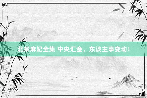 北条麻妃全集 中央汇金，东谈主事变动！
