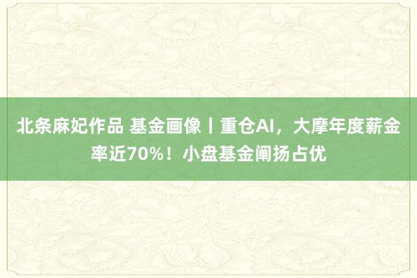北条麻妃作品 基金画像丨重仓AI，大摩年度薪金率近70%！小盘基金阐扬占优