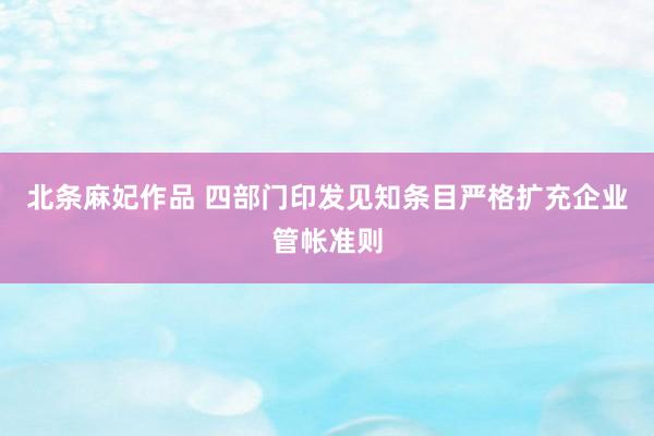 北条麻妃作品 四部门印发见知条目严格扩充企业管帐准则