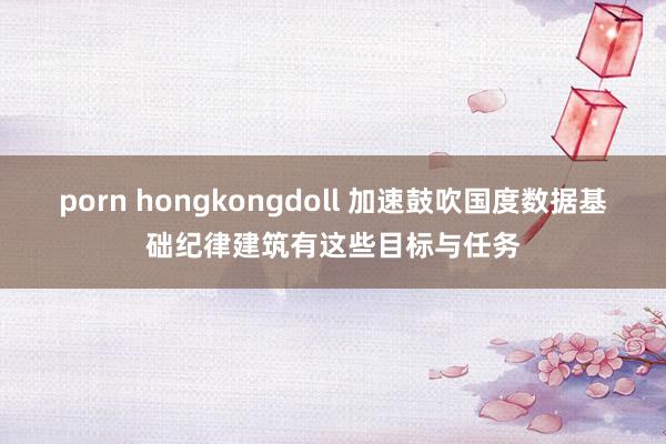 porn hongkongdoll 加速鼓吹国度数据基础纪律建筑有这些目标与任务
