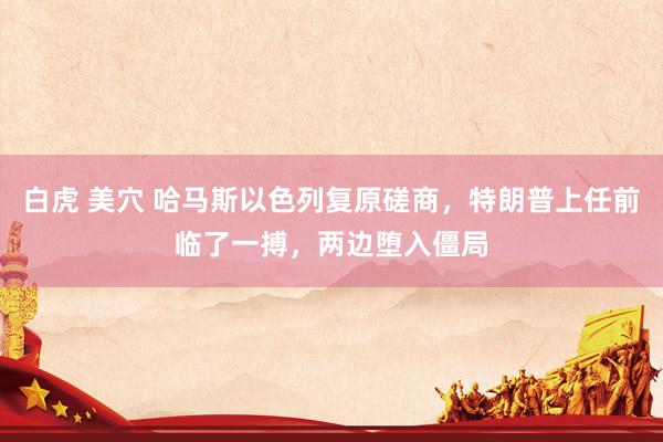 白虎 美穴 哈马斯以色列复原磋商，特朗普上任前临了一搏，两边堕入僵局