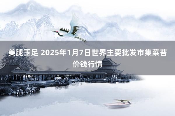 美腿玉足 2025年1月7日世界主要批发市集菜苔价钱行情