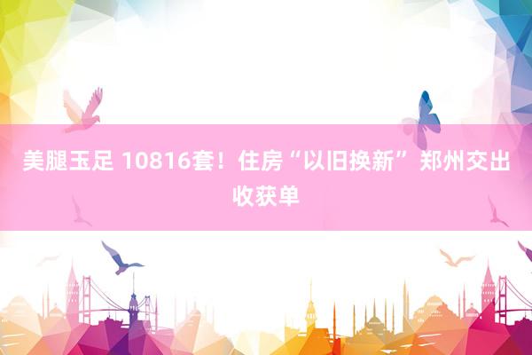 美腿玉足 10816套！住房“以旧换新” 郑州交出收获单