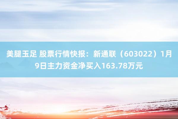 美腿玉足 股票行情快报：新通联（603022）1月9日主力资金净买入163.78万元