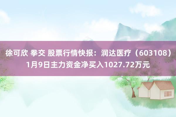 徐可欣 拳交 股票行情快报：润达医疗（603108）1月9日主力资金净买入1027.72万元