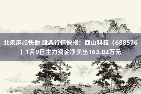 北条麻妃快播 股票行情快报：西山科技（688576）1月9日主力资金净卖出163.02万元