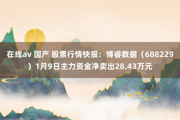 在线av 国产 股票行情快报：博睿数据（688229）1月9日主力资金净卖出28.43万元