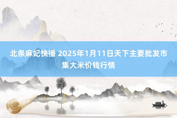 北条麻妃快播 2025年1月11日天下主要批发市集大米价钱行情
