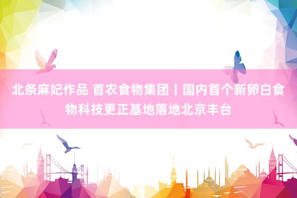 北条麻妃作品 首农食物集团丨国内首个新卵白食物科技更正基地落地北京丰台