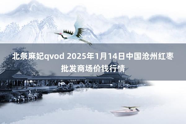 北条麻妃qvod 2025年1月14日中国沧州红枣批发商场价钱行情