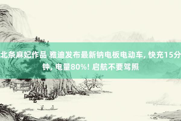 北条麻妃作品 雅迪发布最新钠电板电动车， 快充15分钟， 电量80%! 启航不要驾照