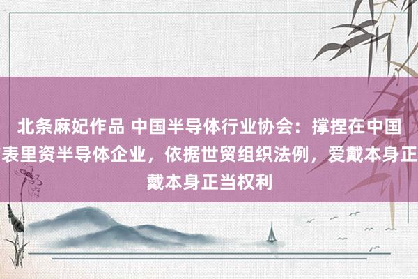 北条麻妃作品 中国半导体行业协会：撑捏在中国发展的表里资半导体企业，依据世贸组织法例，爱戴本身正当权利