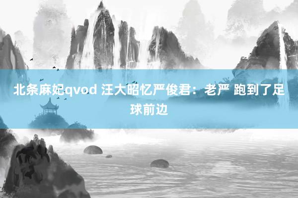 北条麻妃qvod 汪大昭忆严俊君：老严 跑到了足球前边