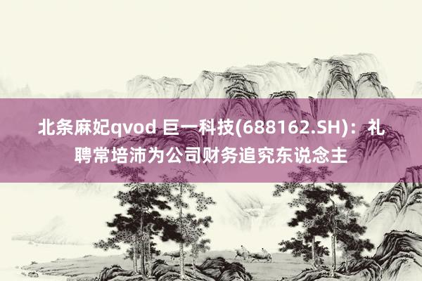 北条麻妃qvod 巨一科技(688162.SH)：礼聘常培沛为公司财务追究东说念主