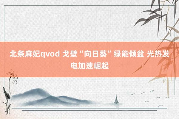 北条麻妃qvod 戈壁“向日葵”绿能倾盆 光热发电加速崛起