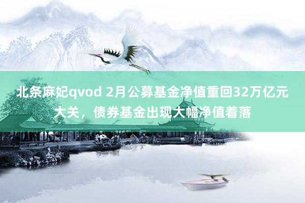 北条麻妃qvod 2月公募基金净值重回32万亿元大关，债券基金出现大幅净值着落