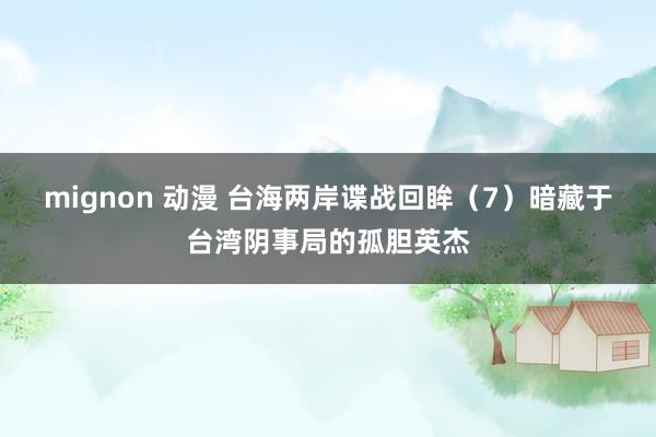 mignon 动漫 台海两岸谍战回眸（7）暗藏于台湾阴事局的孤胆英杰