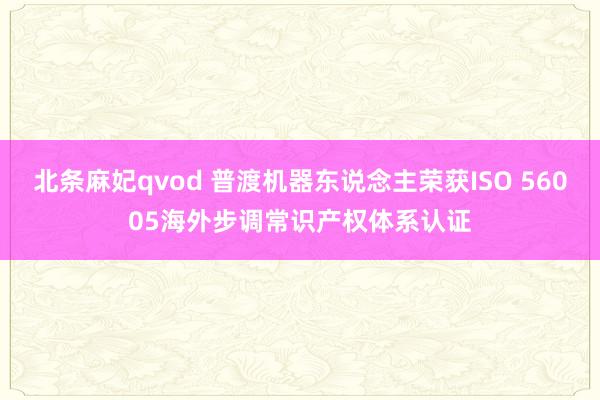 北条麻妃qvod 普渡机器东说念主荣获ISO 56005海外步调常识产权体系认证