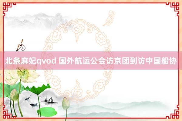北条麻妃qvod 国外航运公会访京团到访中国船协