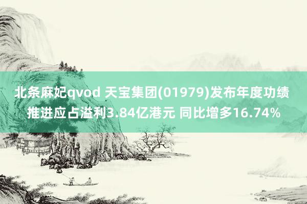 北条麻妃qvod 天宝集团(01979)发布年度功绩 推进应占溢利3.84亿港元 同比增多16.74%