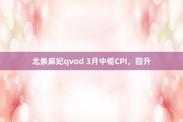 北条麻妃qvod 3月中枢CPI，回升