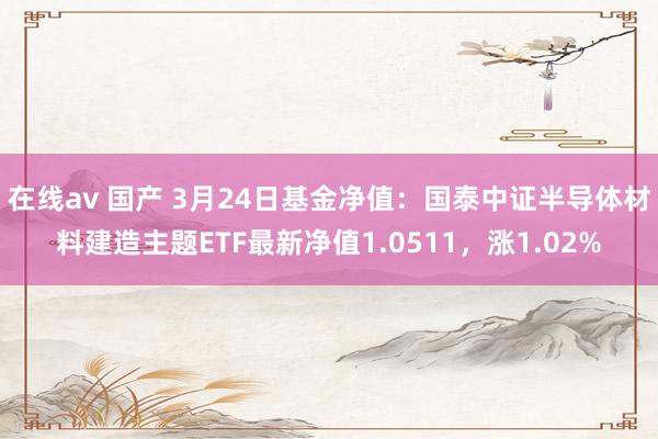 在线av 国产 3月24日基金净值：国泰中证半导体材料建造主题ETF最新净值1.0511，涨1.02%