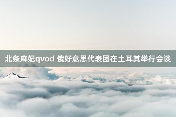 北条麻妃qvod 俄好意思代表团在土耳其举行会谈