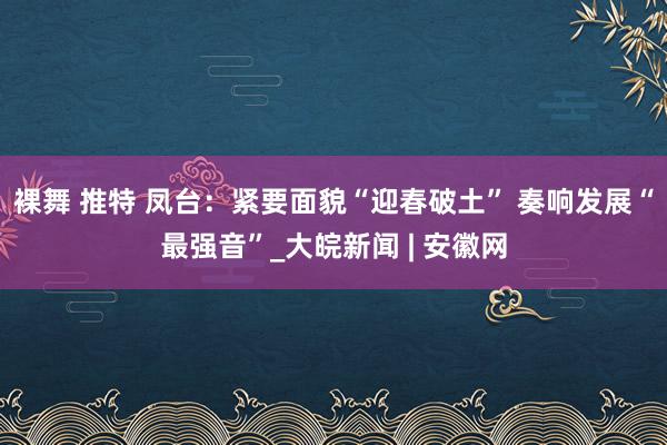 裸舞 推特 凤台：紧要面貌“迎春破土” 奏响发展“最强音”_大皖新闻 | 安徽网