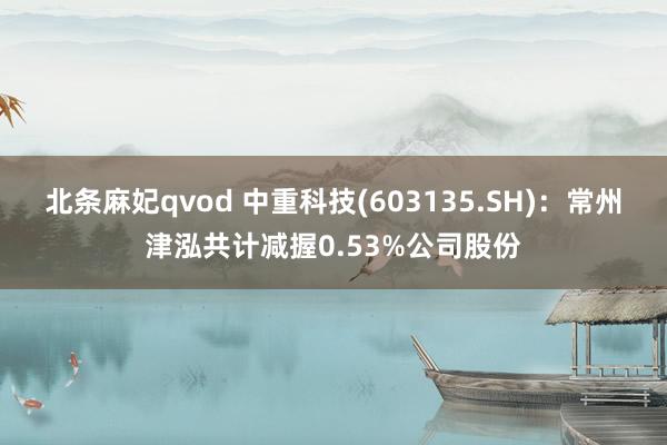 北条麻妃qvod 中重科技(603135.SH)：常州津泓共计减握0.53%公司股份