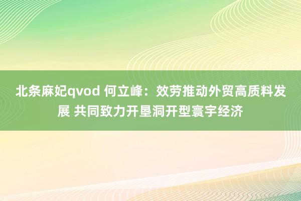 北条麻妃qvod 何立峰：效劳推动外贸高质料发展 共同致力开垦洞开型寰宇经济